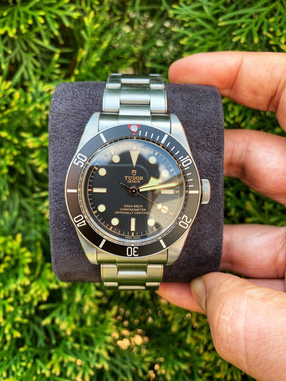TUDOR Black Bay Heritage 79230N